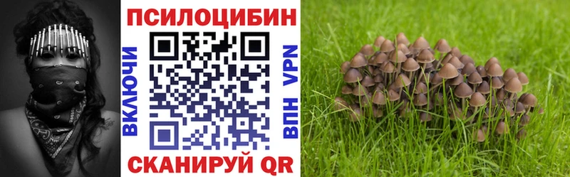 где найти   Лесосибирск  Псилоцибиновые грибы мухоморы 