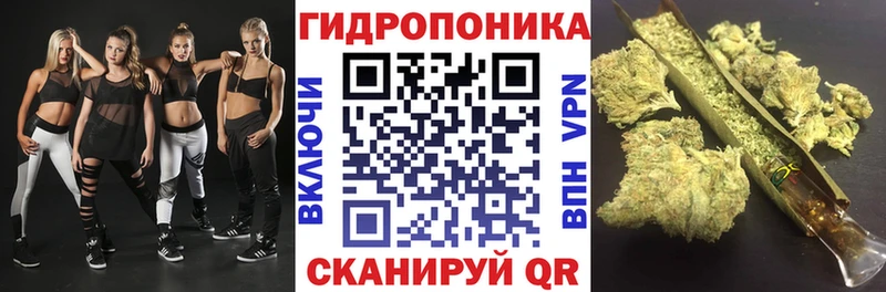 купить   Лесосибирск  Конопля семена 